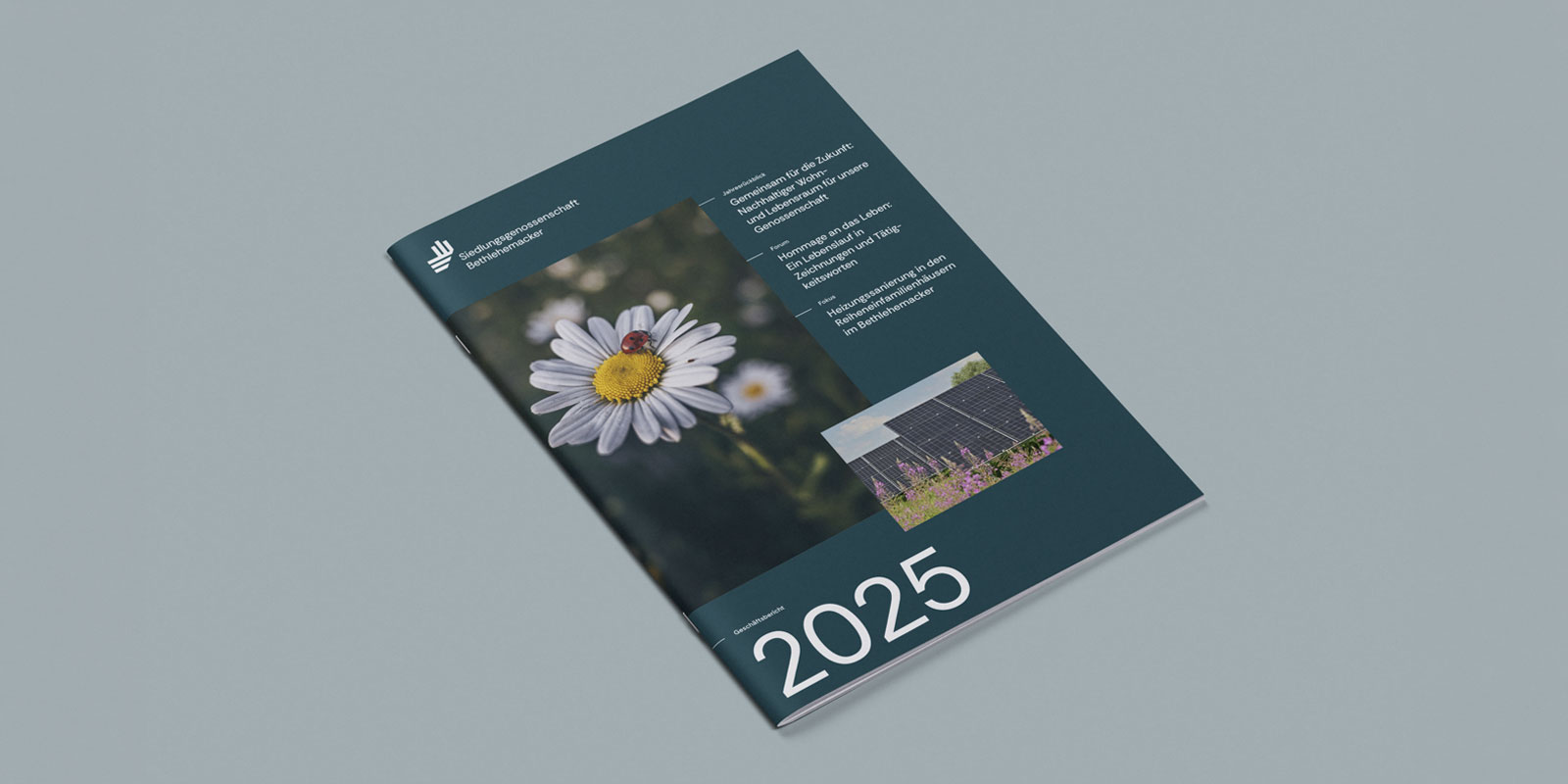 Jahresbericht 2025