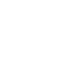 Icon &ouml;konomische Nachhaltigkeit bei der SGBA
